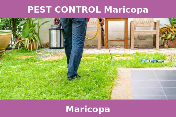 PEST CONTROL Maricopa